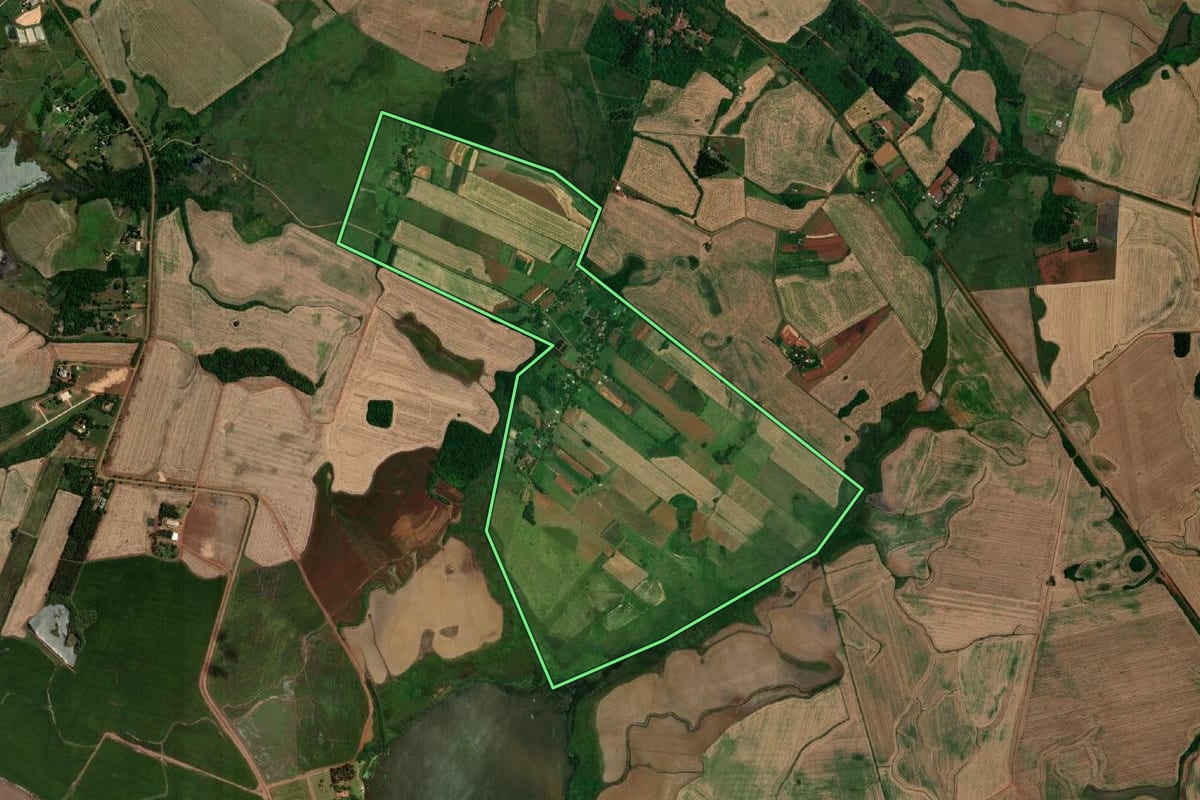 Imagem de satélite do imóvel rural em São Borja (RS), com o contorno declarado no CAR desenhado por cima.