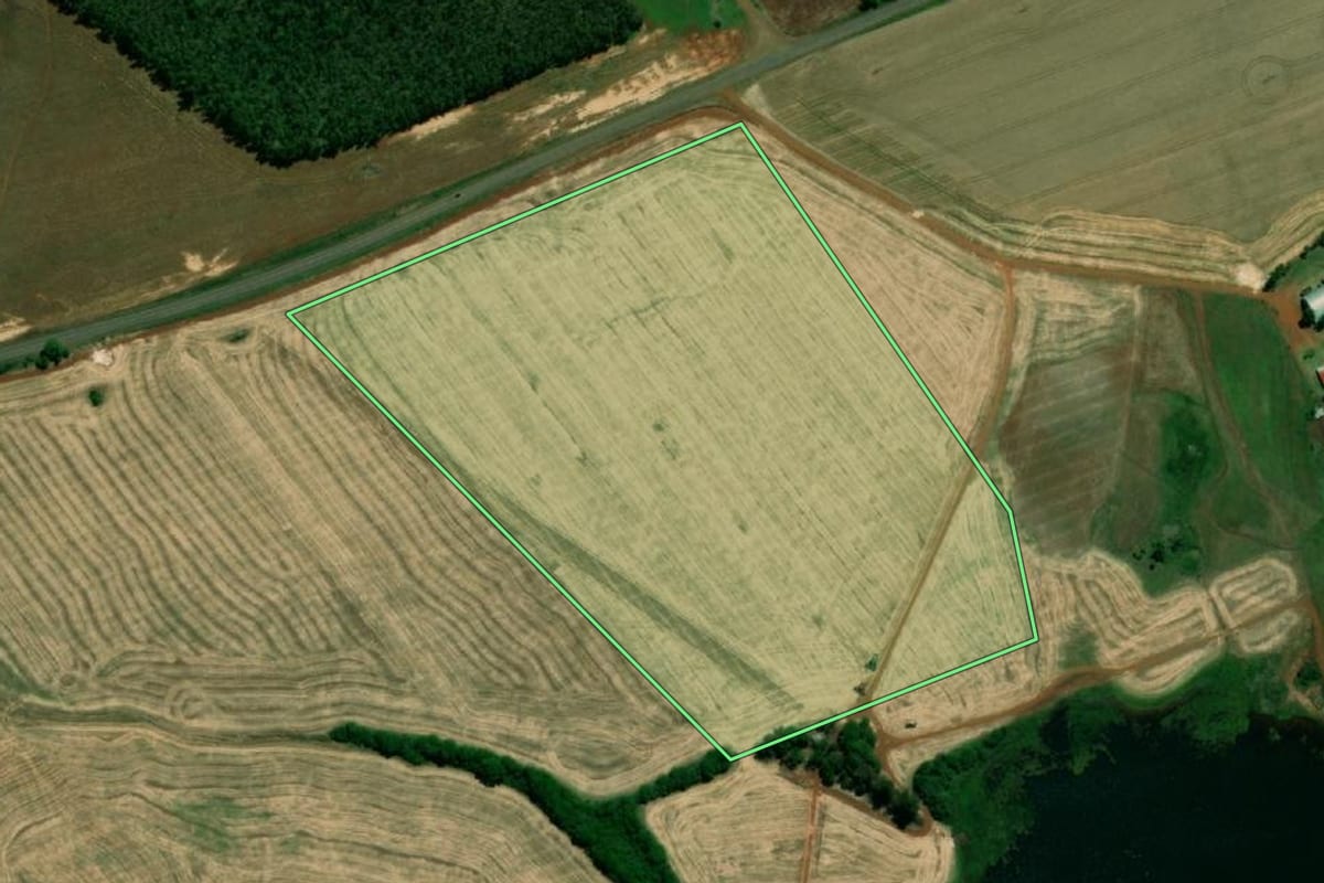 Imagem de satélite do imóvel rural em São Borja (RS), com o contorno declarado no CAR desenhado por cima.