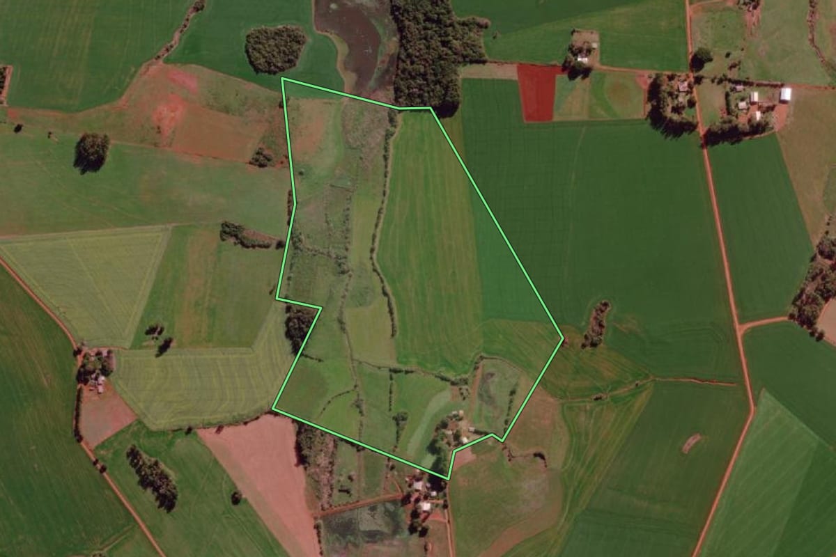 Imagem de satélite do imóvel rural em São Borja (RS), com o contorno declarado no CAR desenhado por cima.