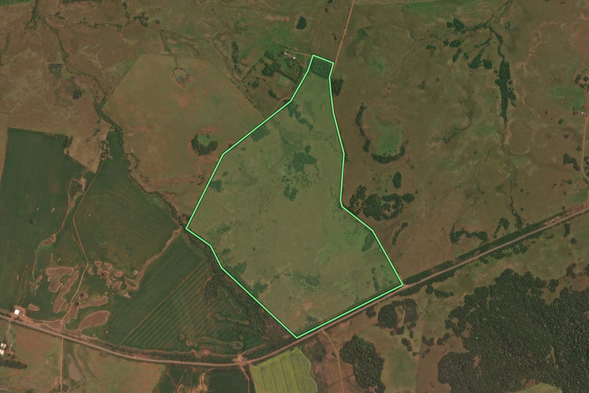 Imagem de satélite do imóvel rural em São Borja (RS), com o contorno declarado no CAR desenhado por cima.