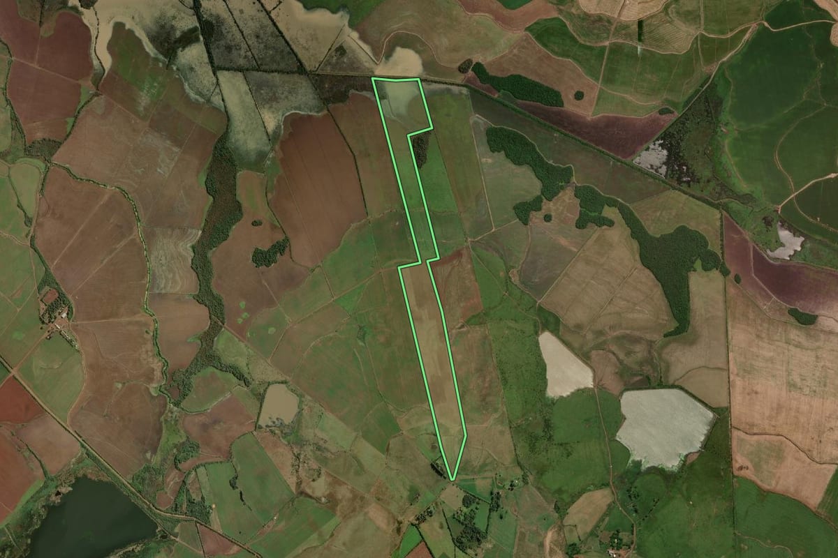Imagem de satélite do imóvel rural em São Borja (RS), com o contorno declarado no CAR desenhado por cima.