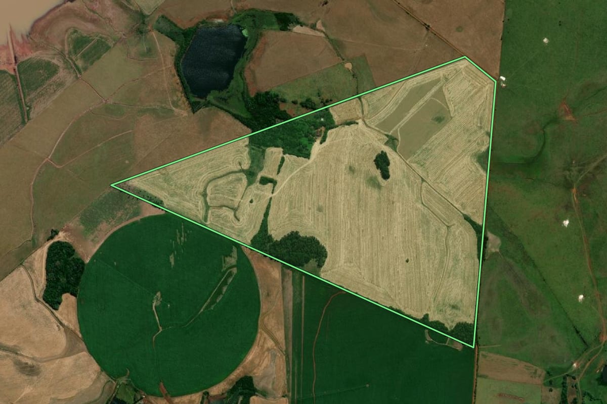 Imagem de satélite do imóvel rural em São Borja (RS), com o contorno declarado no CAR desenhado por cima.