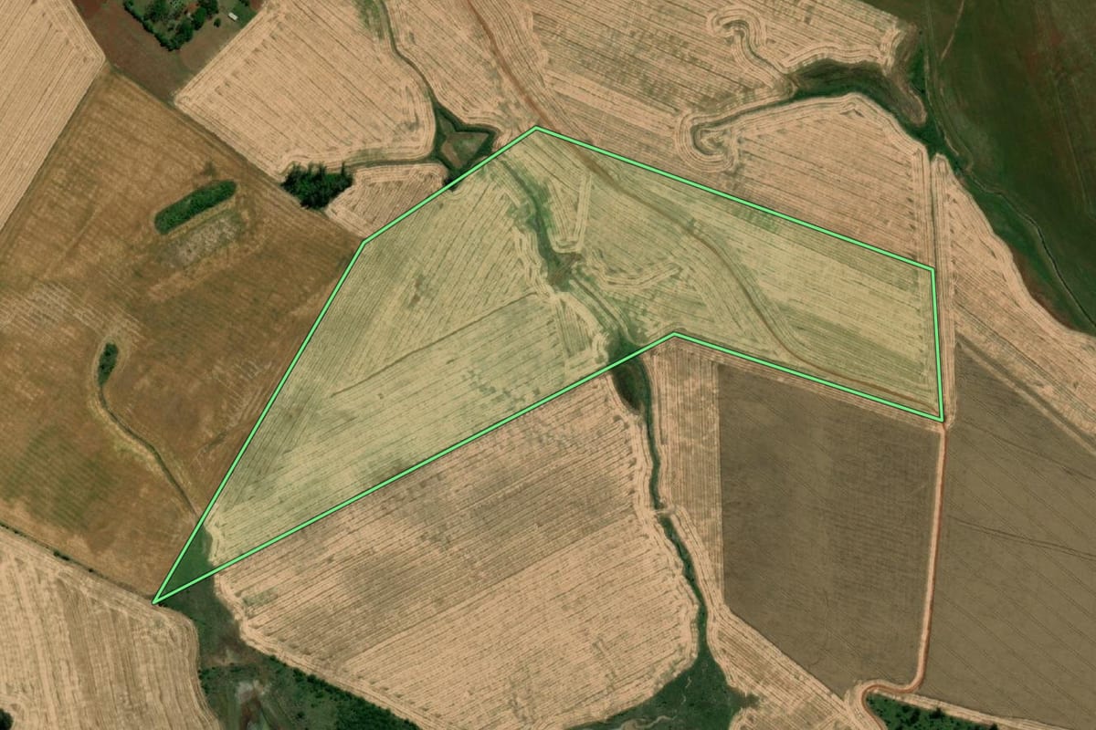 Imagem de satélite do imóvel rural em São Borja (RS), com o contorno declarado no CAR desenhado por cima.