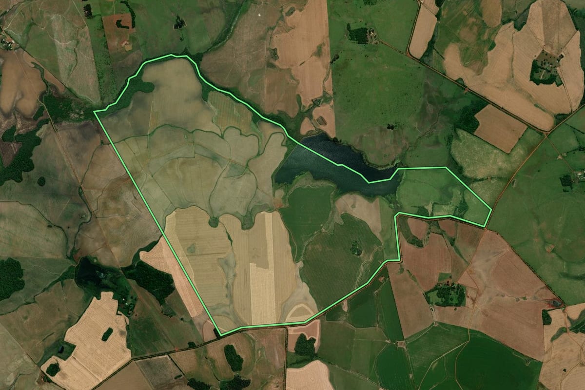 Imagem de satélite do imóvel rural em São Borja (RS), com o contorno declarado no CAR desenhado por cima.