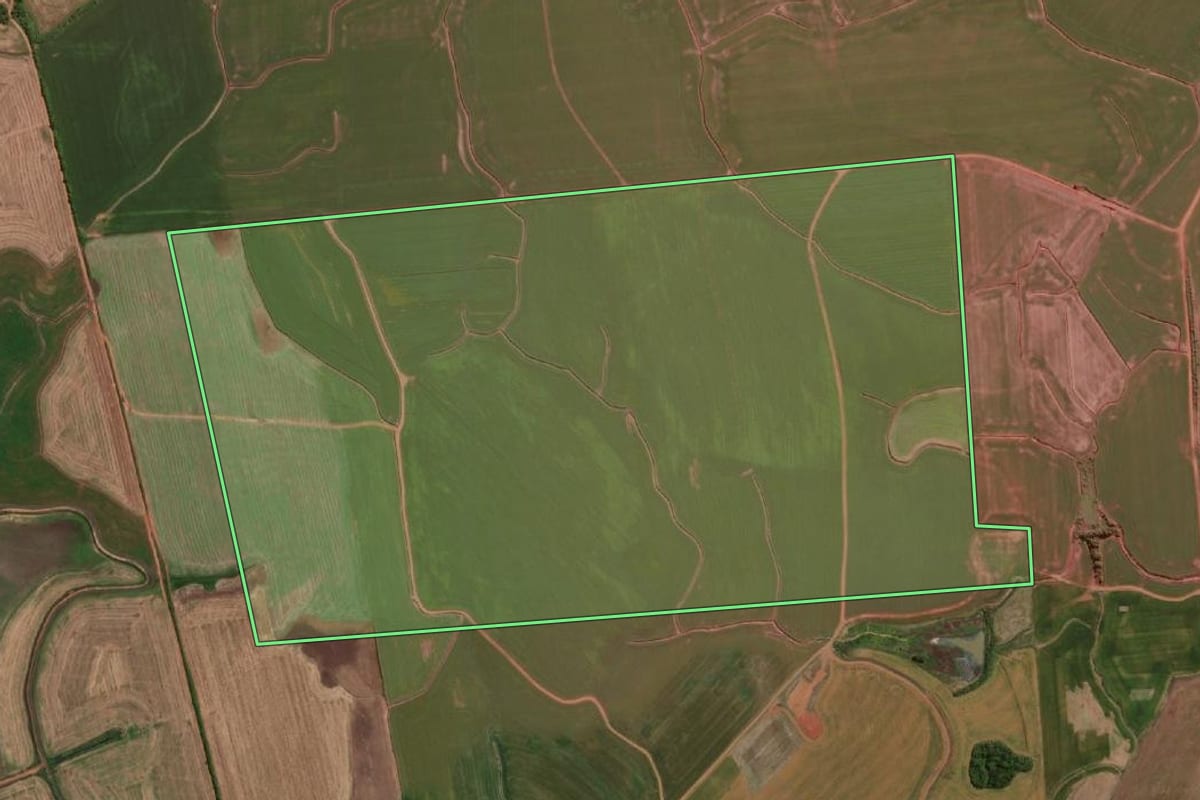 Imagem de satélite do imóvel rural em São Borja (RS), com o contorno declarado no CAR desenhado por cima.