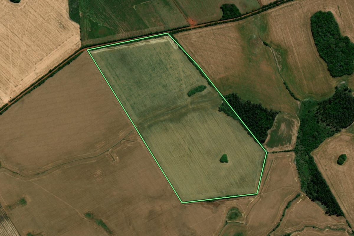 Imagem de satélite do imóvel rural em São Borja (RS), com o contorno declarado no CAR desenhado por cima.