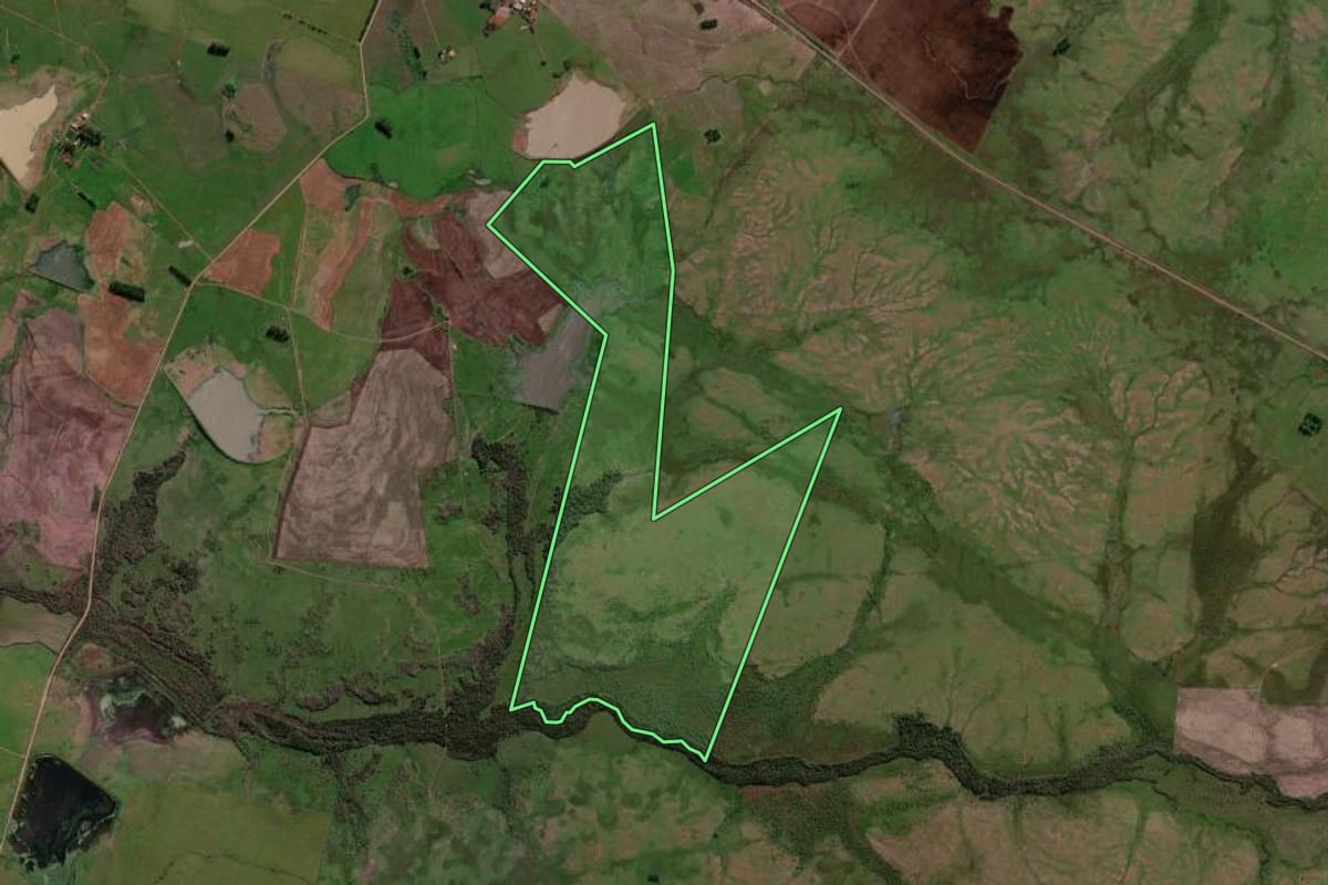 Imagem de satélite do imóvel rural em São Borja (RS), com o contorno declarado no CAR desenhado por cima.