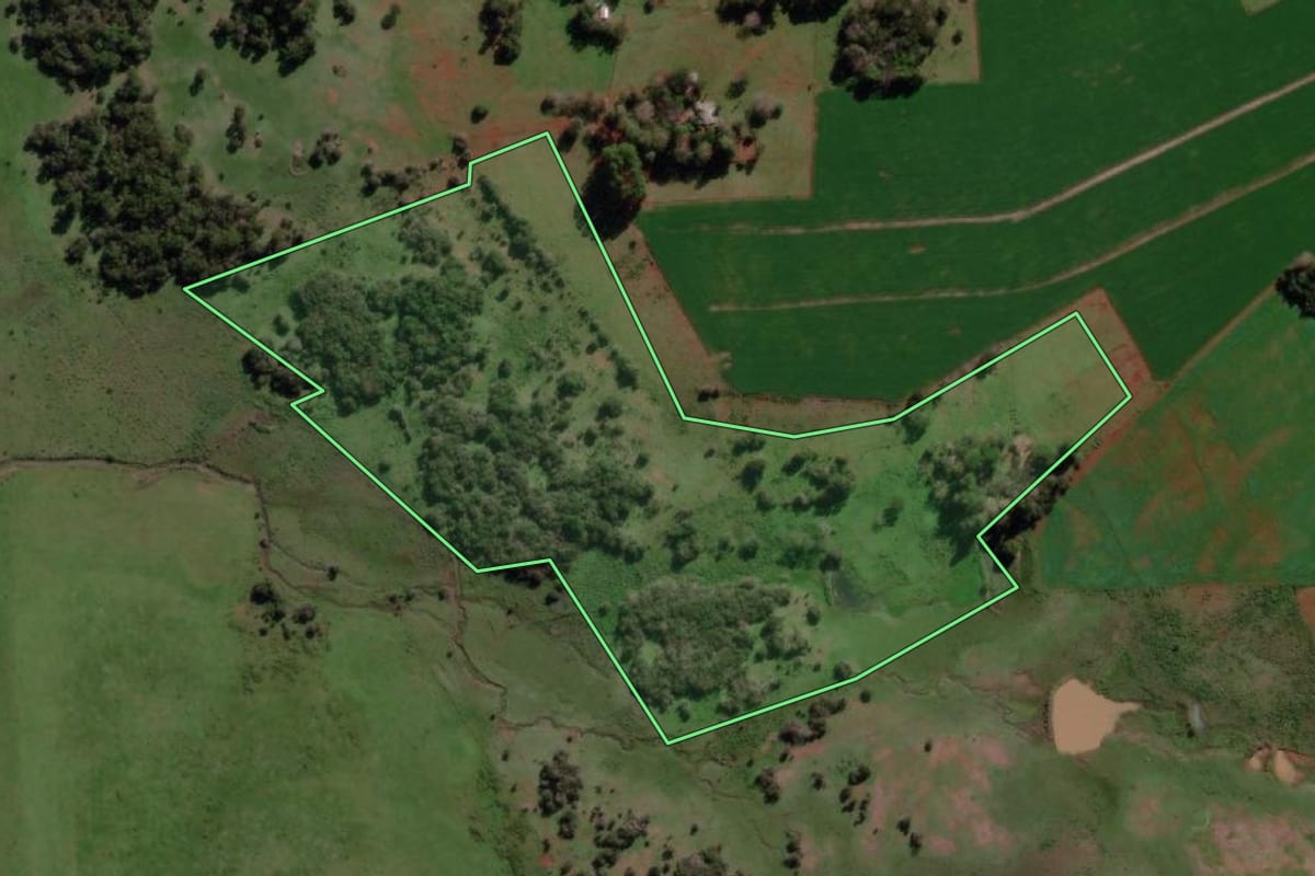 Imagem de satélite do imóvel rural em São Borja (RS), com o contorno declarado no CAR desenhado por cima.