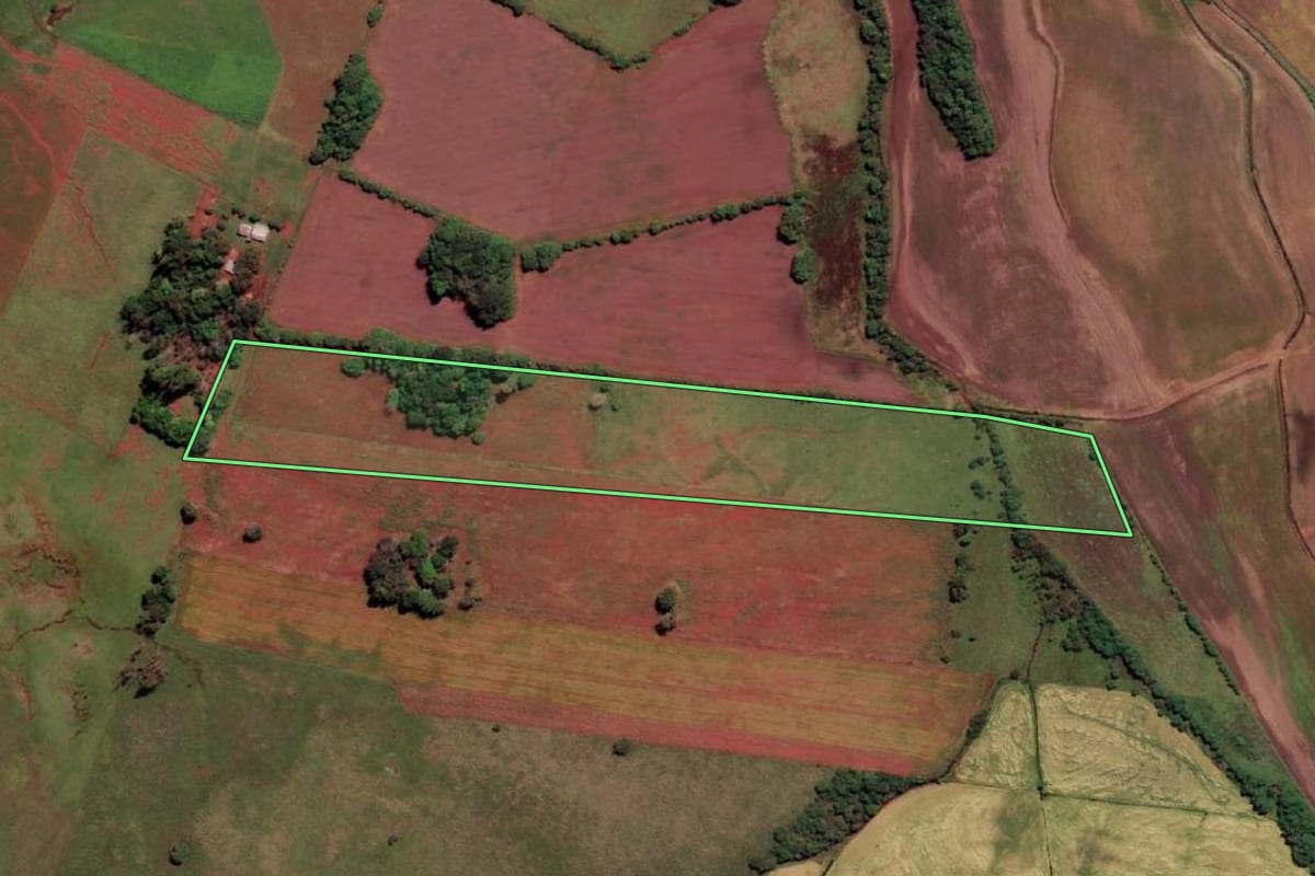 Imagem de satélite do imóvel rural em São Borja (RS), com o contorno declarado no CAR desenhado por cima.
