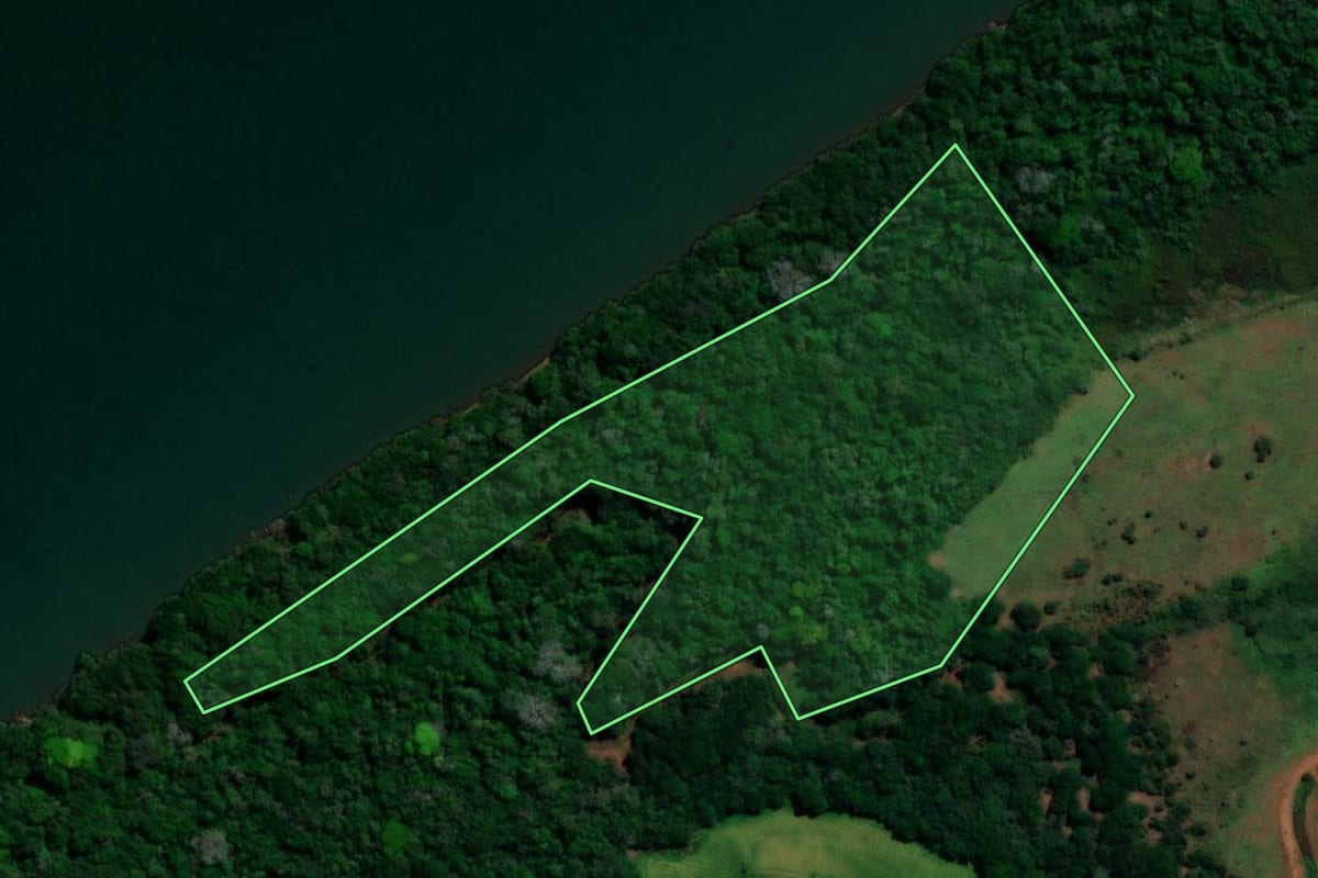 Imagem de satélite do imóvel rural em São Borja (RS), com o contorno declarado no CAR desenhado por cima.
