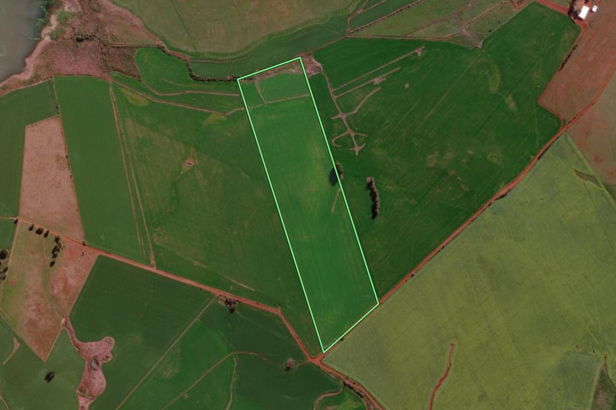 Imagem de satélite do imóvel rural em São Borja (RS), com o contorno declarado no CAR desenhado por cima.