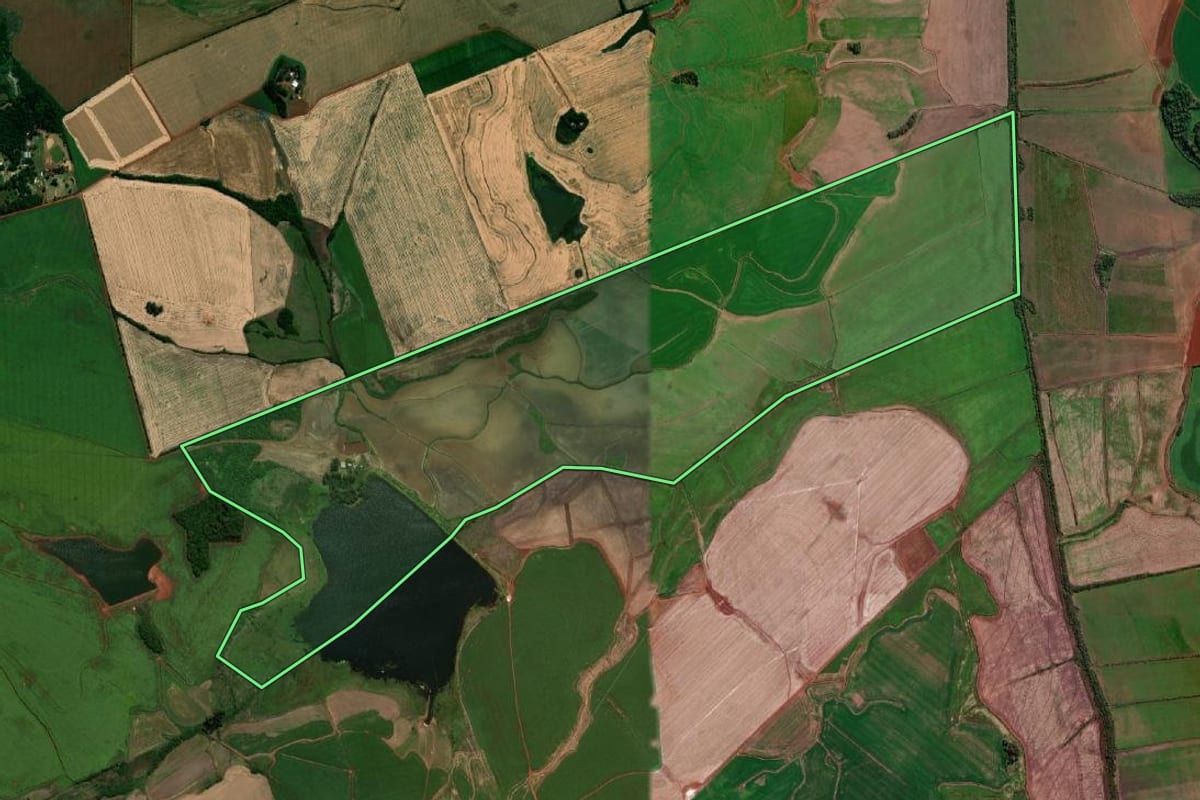 Imagem de satélite do imóvel rural em São Borja (RS), com o contorno declarado no CAR desenhado por cima.