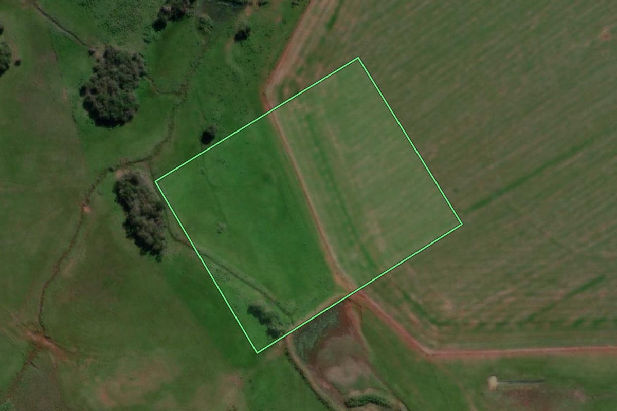 Imagem de satélite do imóvel rural em São Borja (RS), com o contorno declarado no CAR desenhado por cima.