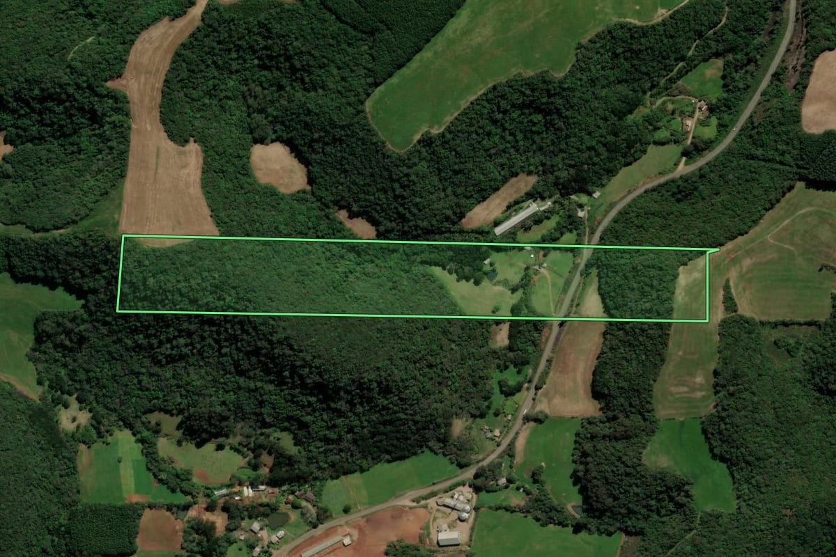 Imagem de satélite do imóvel rural em São Domingos do Sul (RS), com o contorno declarado no CAR desenhado por cima.
