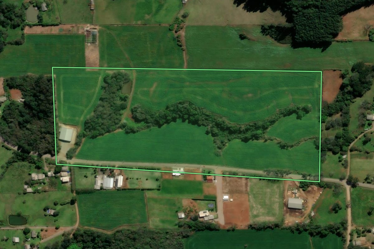 Imagem de satélite do imóvel rural em São Domingos do Sul (RS), com o contorno declarado no CAR desenhado por cima.