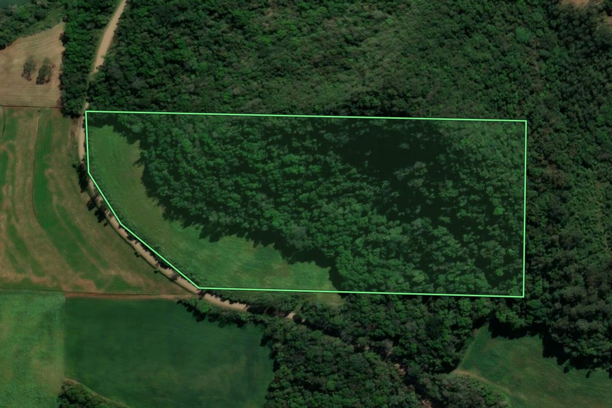 Imagem de satélite do imóvel rural em São Domingos do Sul (RS), com o contorno declarado no CAR desenhado por cima.