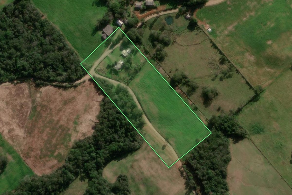 Imagem de satélite do imóvel rural em São Domingos do Sul (RS), com o contorno declarado no CAR desenhado por cima.