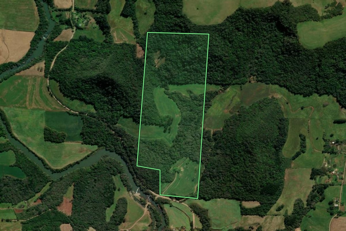 Imagem de satélite do imóvel rural em São Domingos do Sul (RS), com o contorno declarado no CAR desenhado por cima.