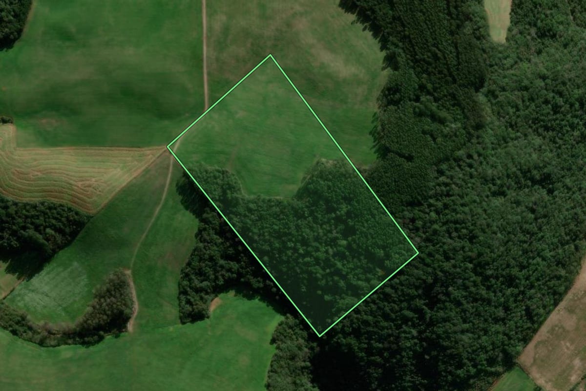 Imagem de satélite do imóvel rural em São Domingos do Sul (RS), com o contorno declarado no CAR desenhado por cima.