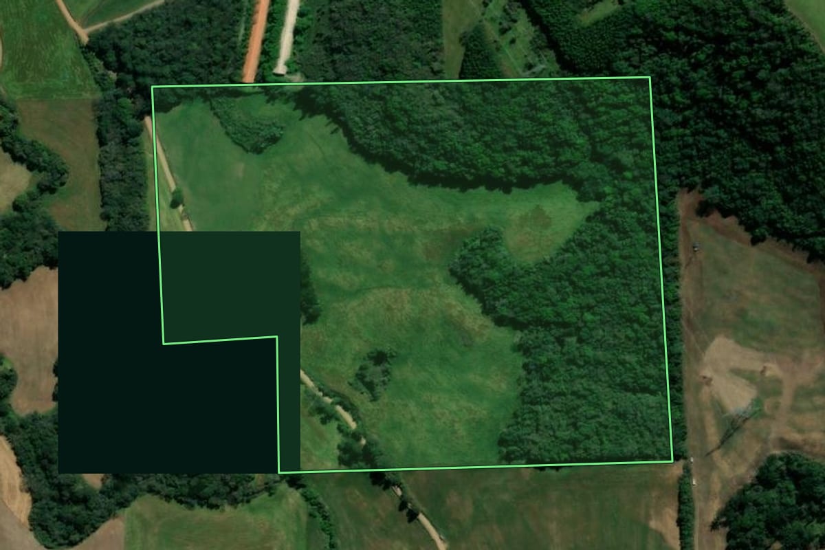 Imagem de satélite do imóvel rural em São Domingos do Sul (RS), com o contorno declarado no CAR desenhado por cima.