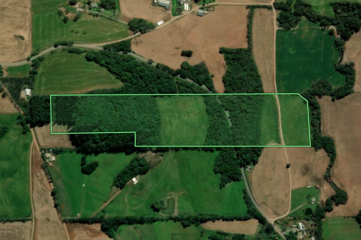 Imagem de satélite do imóvel rural em São Domingos do Sul (RS), com o contorno declarado no CAR desenhado por cima.