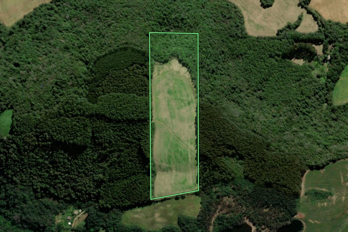 Imagem de satélite do imóvel rural em São Domingos do Sul (RS), com o contorno declarado no CAR desenhado por cima.