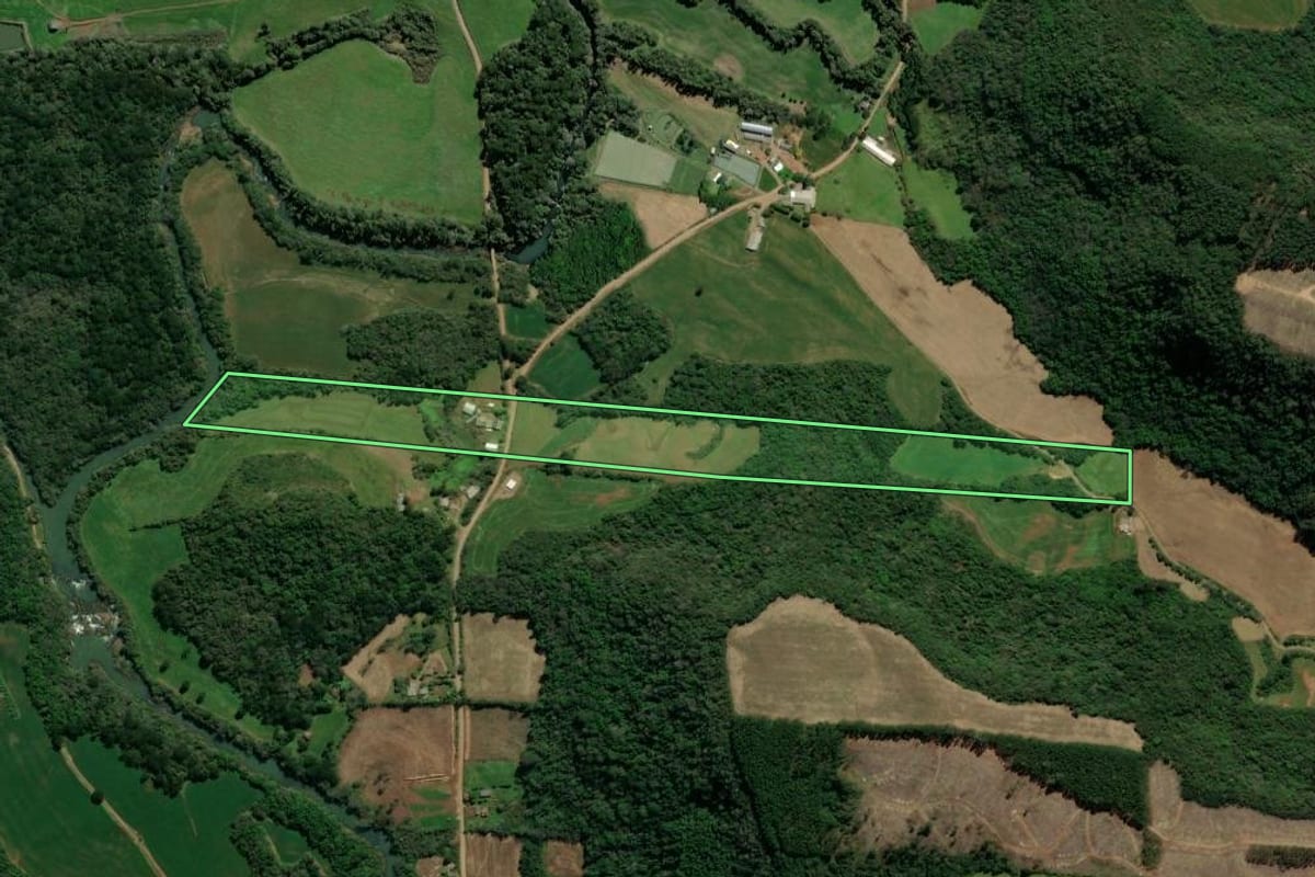 Imagem de satélite do imóvel rural em São Domingos do Sul (RS), com o contorno declarado no CAR desenhado por cima.