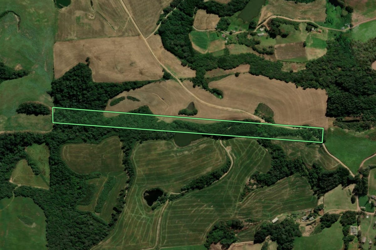 Imagem de satélite do imóvel rural em São Domingos do Sul (RS), com o contorno declarado no CAR desenhado por cima.