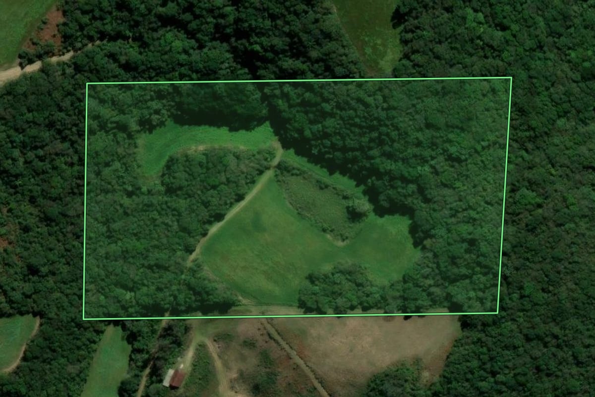 Imagem de satélite do imóvel rural em São Domingos do Sul (RS), com o contorno declarado no CAR desenhado por cima.