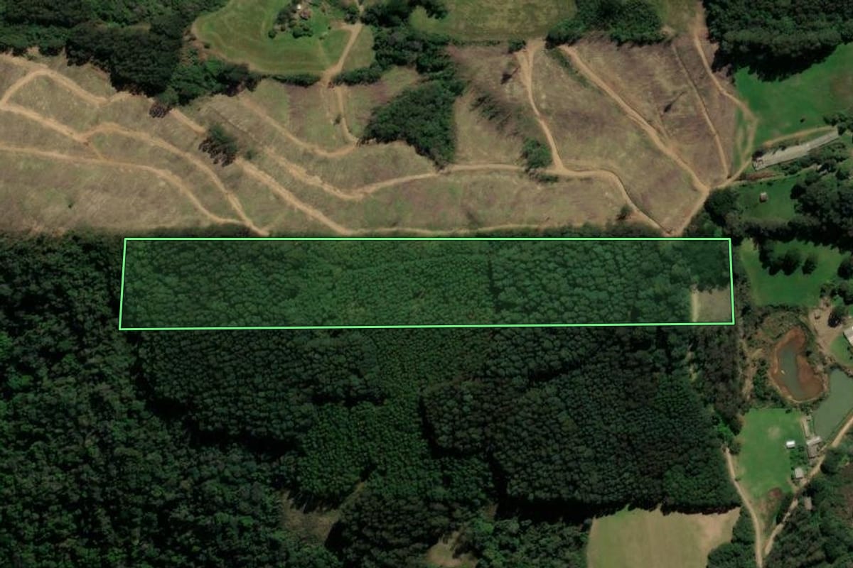 Imagem de satélite do imóvel rural em São Domingos do Sul (RS), com o contorno declarado no CAR desenhado por cima.