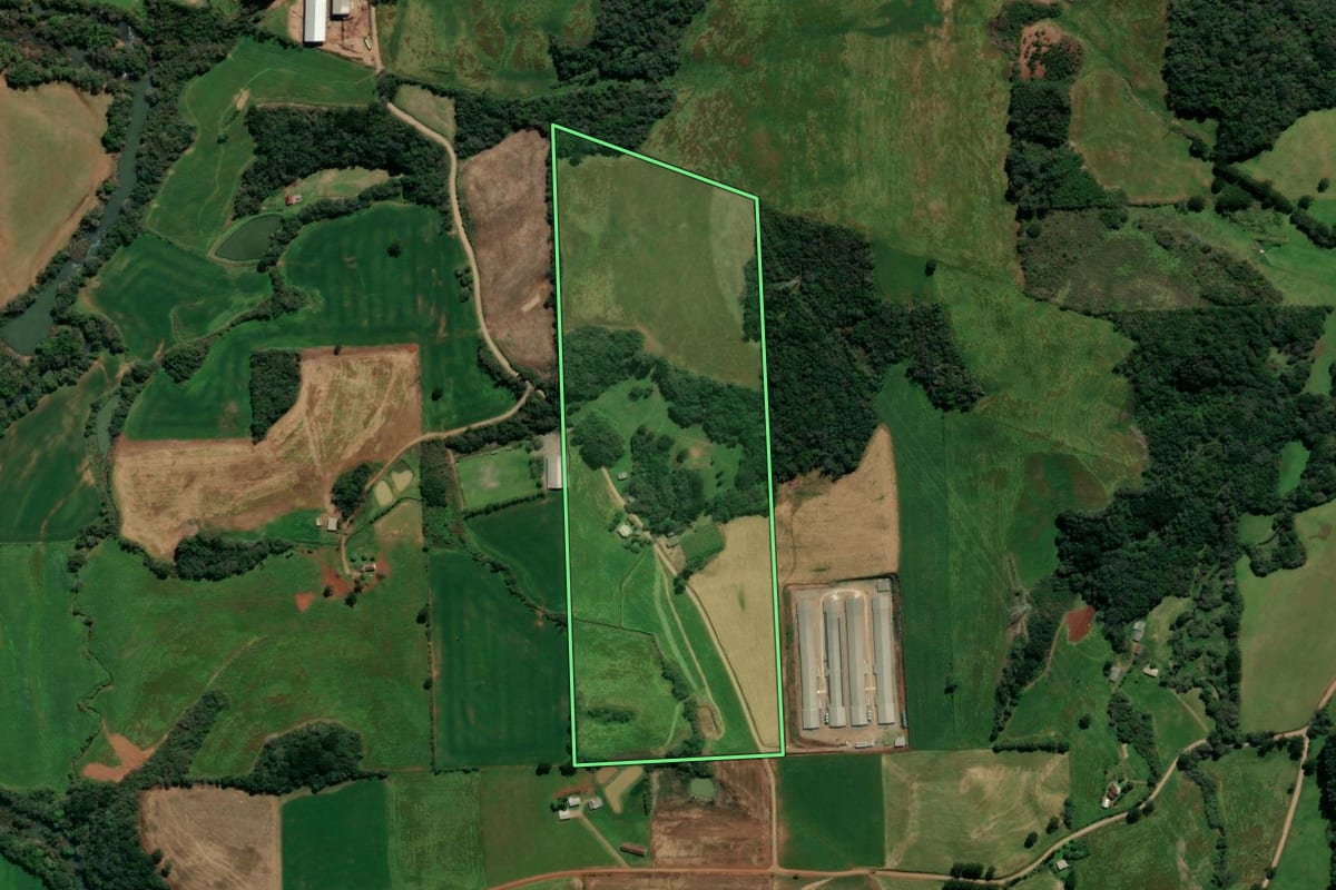 Imagem de satélite do imóvel rural em São Domingos do Sul (RS), com o contorno declarado no CAR desenhado por cima.