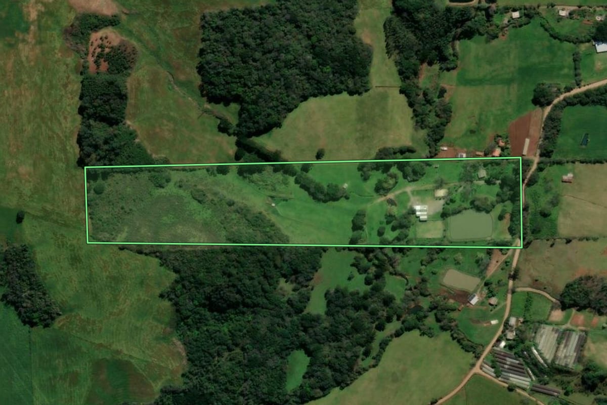 Imagem de satélite do imóvel rural em São Domingos do Sul (RS), com o contorno declarado no CAR desenhado por cima.