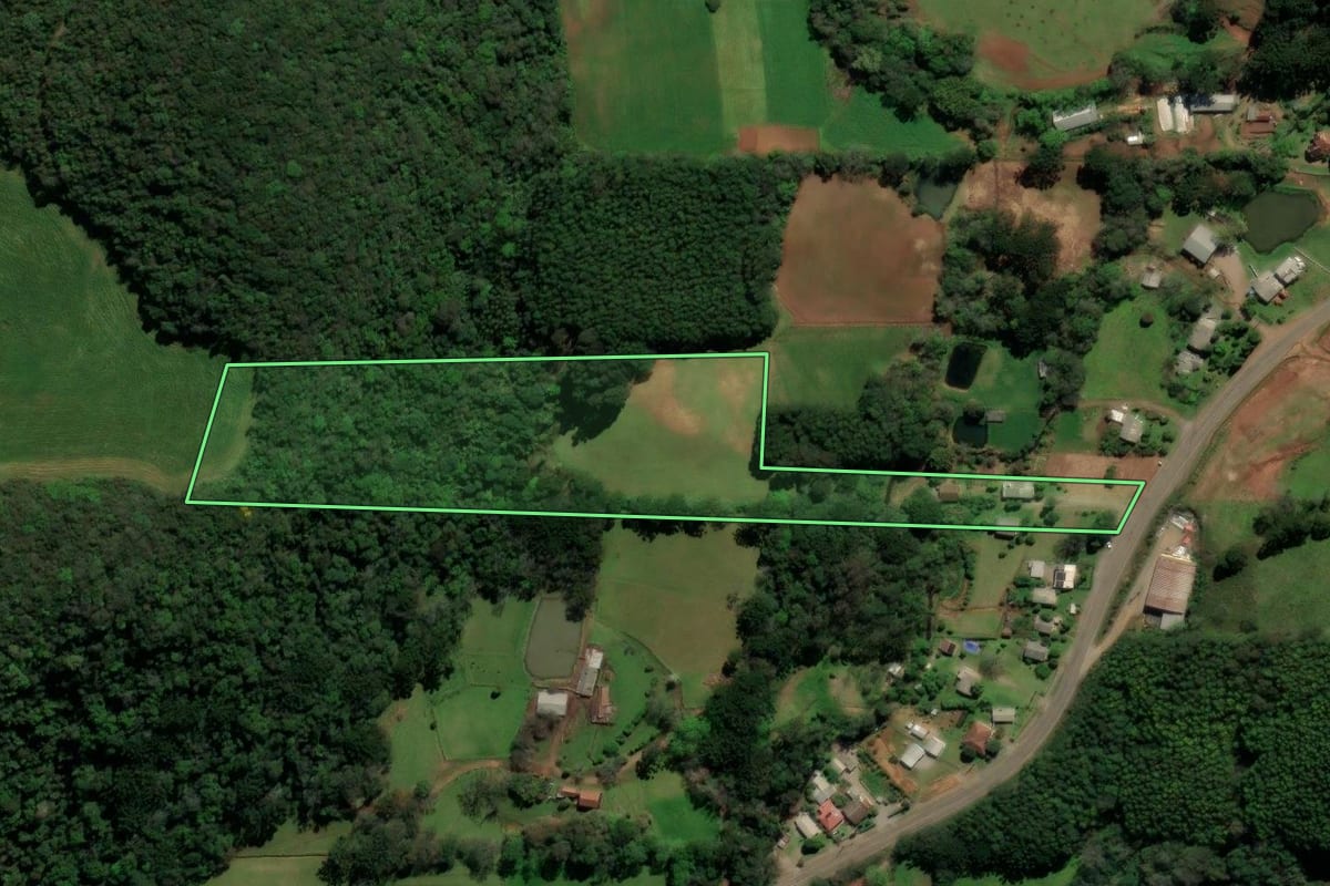 Imagem de satélite do imóvel rural em São Domingos do Sul (RS), com o contorno declarado no CAR desenhado por cima.