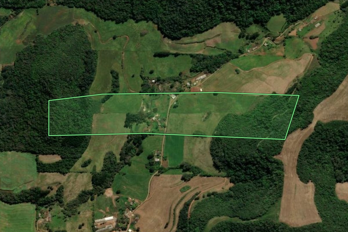 Imagem de satélite do imóvel rural em São Domingos do Sul (RS), com o contorno declarado no CAR desenhado por cima.