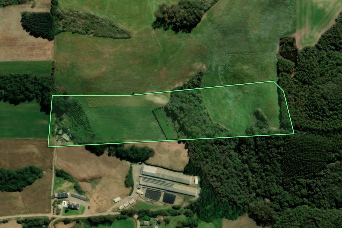 Imagem de satélite do imóvel rural em São Domingos do Sul (RS), com o contorno declarado no CAR desenhado por cima.