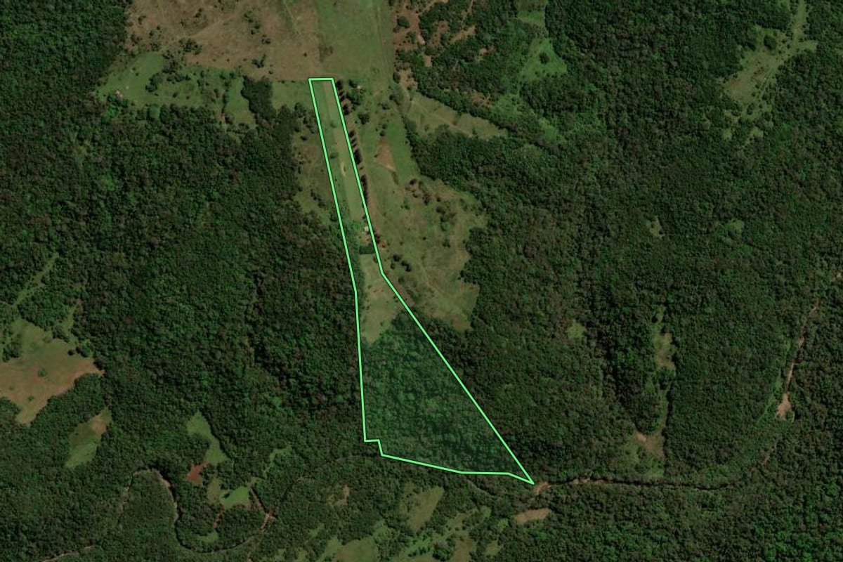 Imagem de satélite do imóvel rural em São Francisco de Assis (RS), com o contorno declarado no CAR desenhado por cima.