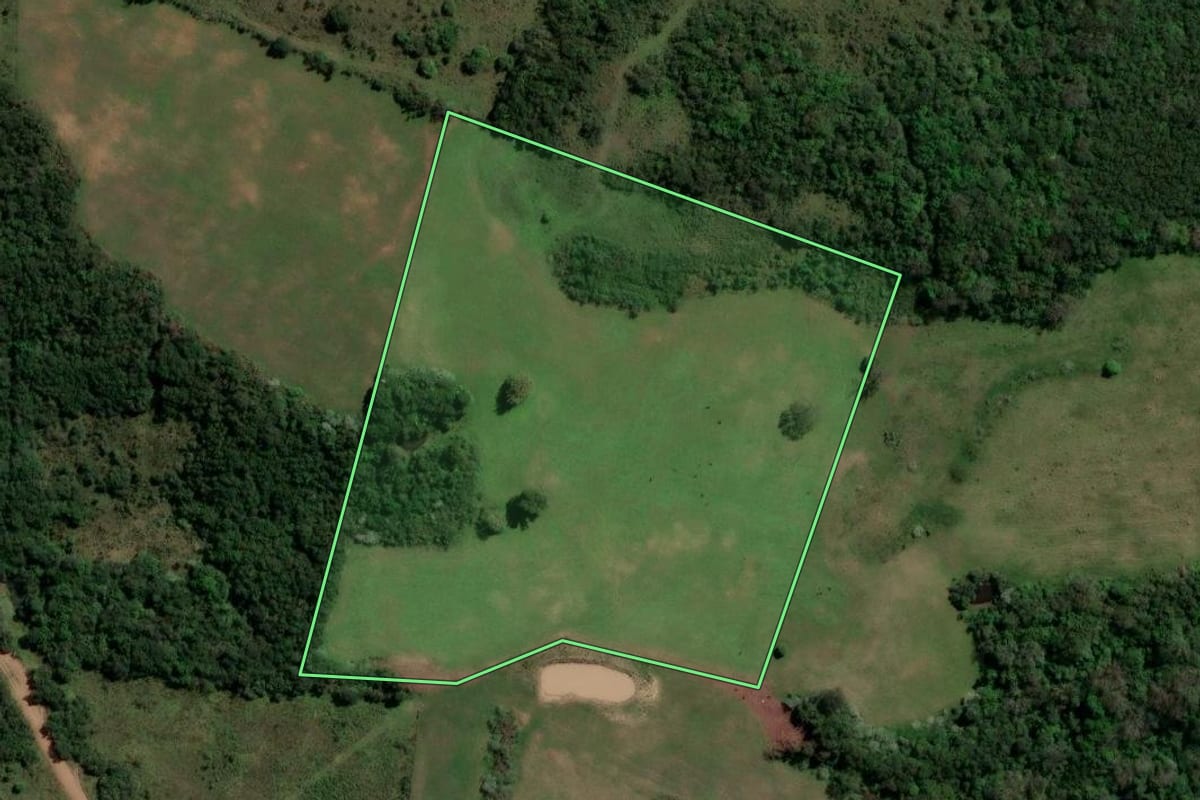 Imagem de satélite do imóvel rural em São Francisco de Assis (RS), com o contorno declarado no CAR desenhado por cima.
