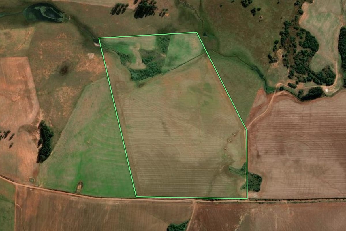 Imagem de satélite do imóvel rural em São Francisco de Assis (RS), com o contorno declarado no CAR desenhado por cima.