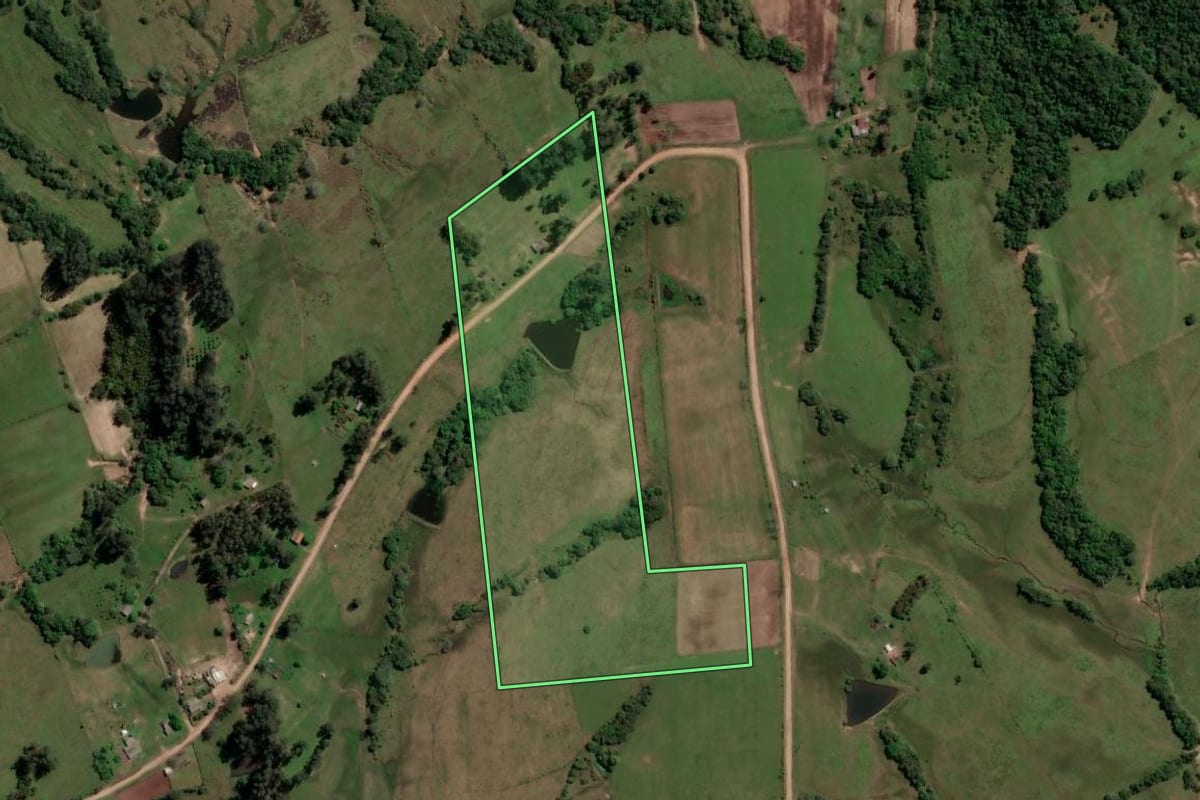 Imagem de satélite do imóvel rural em São Francisco de Assis (RS), com o contorno declarado no CAR desenhado por cima.