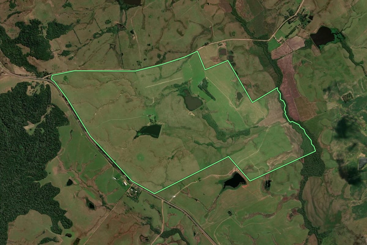 Imagem de satélite do imóvel rural em São Francisco de Assis (RS), com o contorno declarado no CAR desenhado por cima.