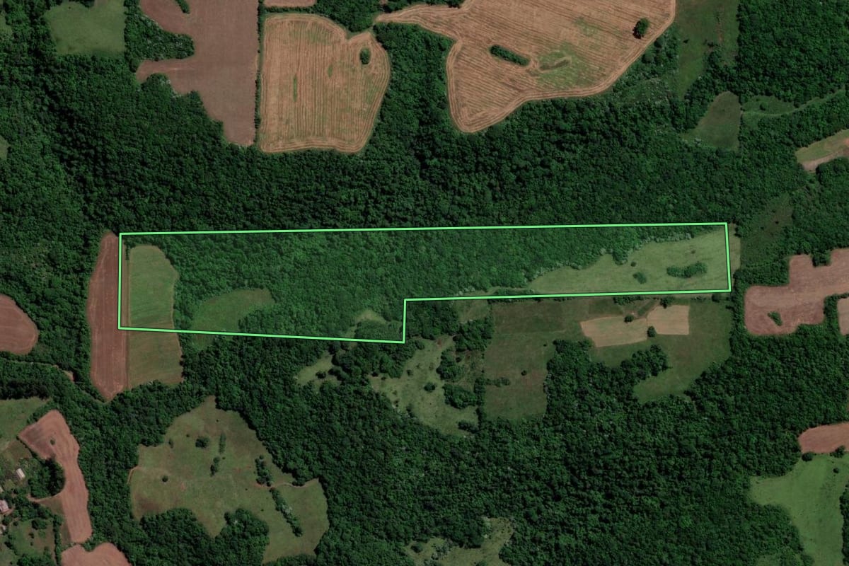 Imagem de satélite do imóvel rural em São Francisco de Assis (RS), com o contorno declarado no CAR desenhado por cima.