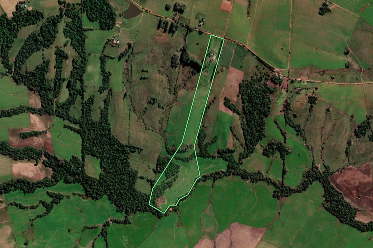 Imagem de satélite do imóvel rural em São Francisco de Assis (RS), com o contorno declarado no CAR desenhado por cima.