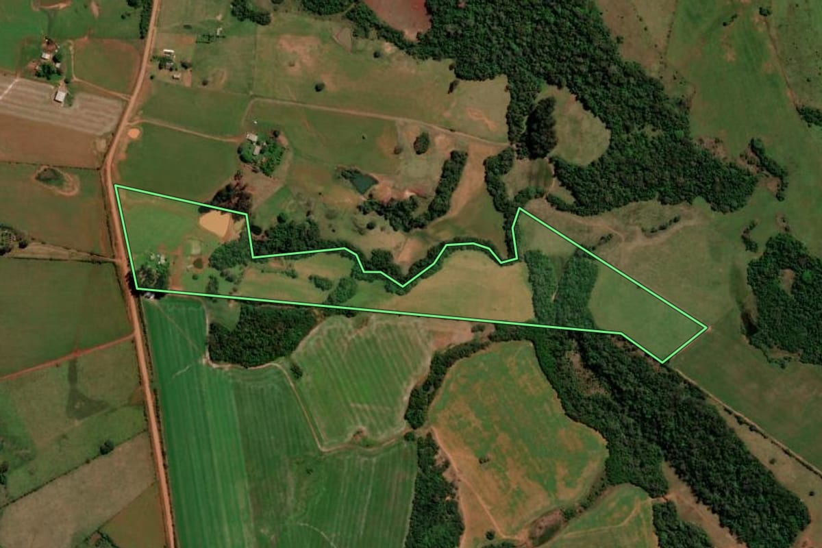 Imagem de satélite do imóvel rural em São Francisco de Assis (RS), com o contorno declarado no CAR desenhado por cima.