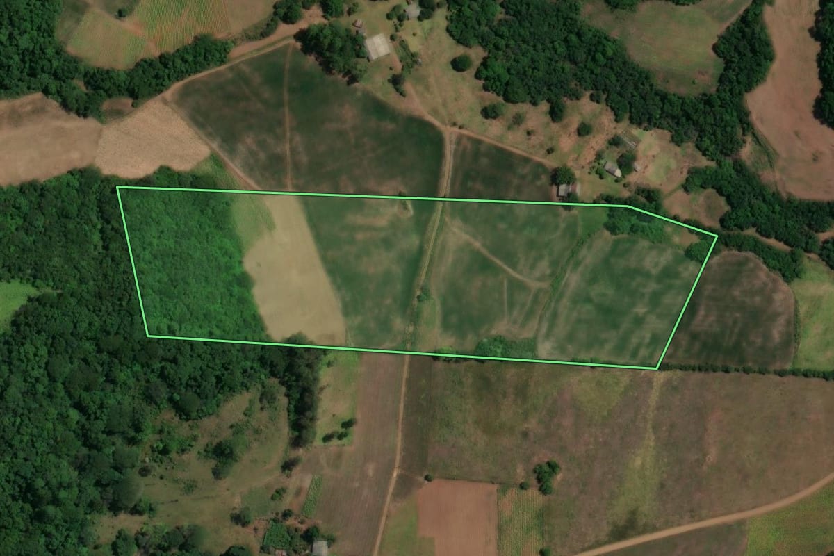 Imagem de satélite do imóvel rural em São Francisco de Assis (RS), com o contorno declarado no CAR desenhado por cima.