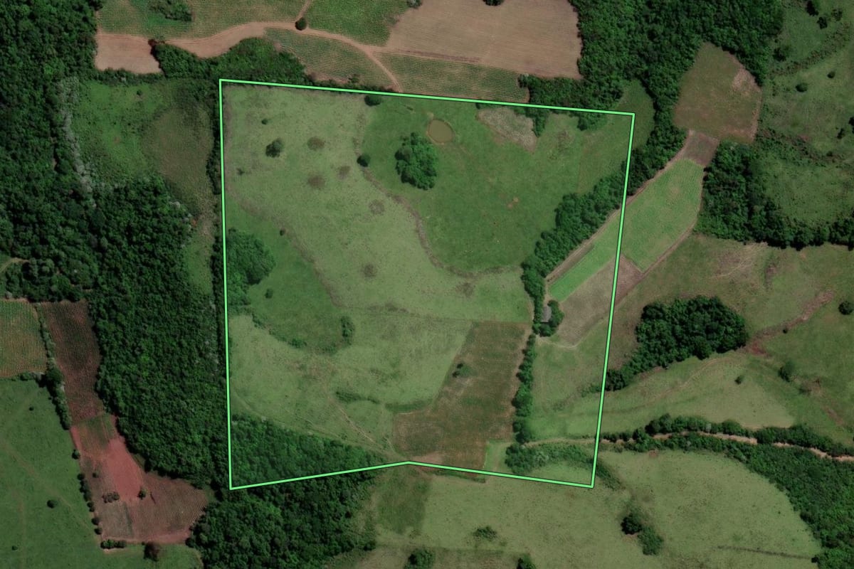 Imagem de satélite do imóvel rural em São Francisco de Assis (RS), com o contorno declarado no CAR desenhado por cima.