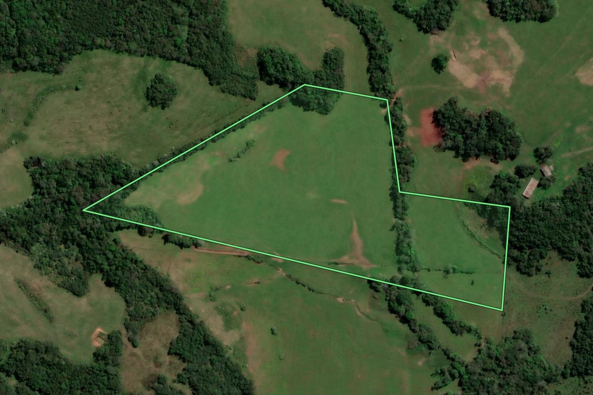 Imagem de satélite do imóvel rural em São Francisco de Assis (RS), com o contorno declarado no CAR desenhado por cima.