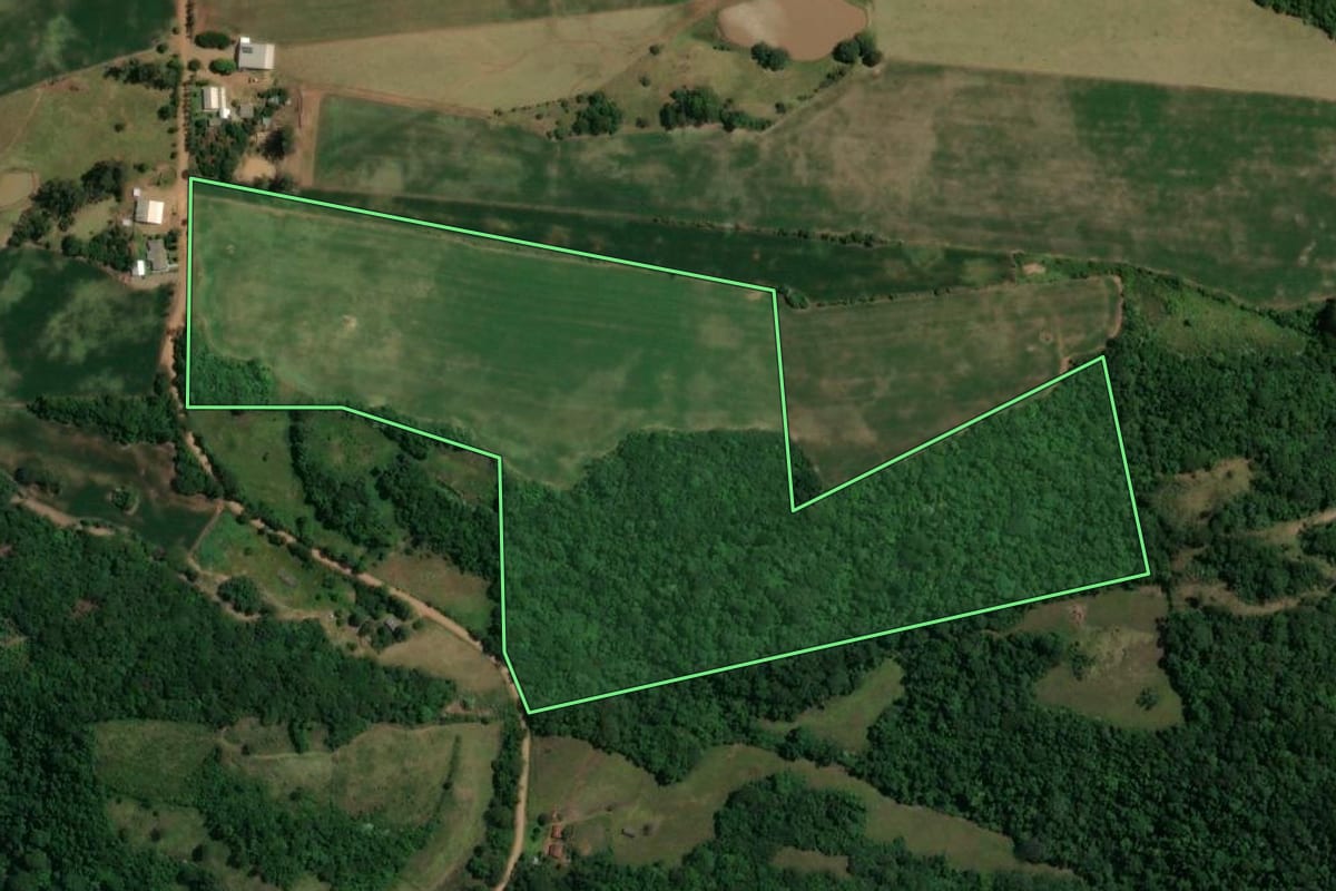 Imagem de satélite do imóvel rural em São Francisco de Assis (RS), com o contorno declarado no CAR desenhado por cima.