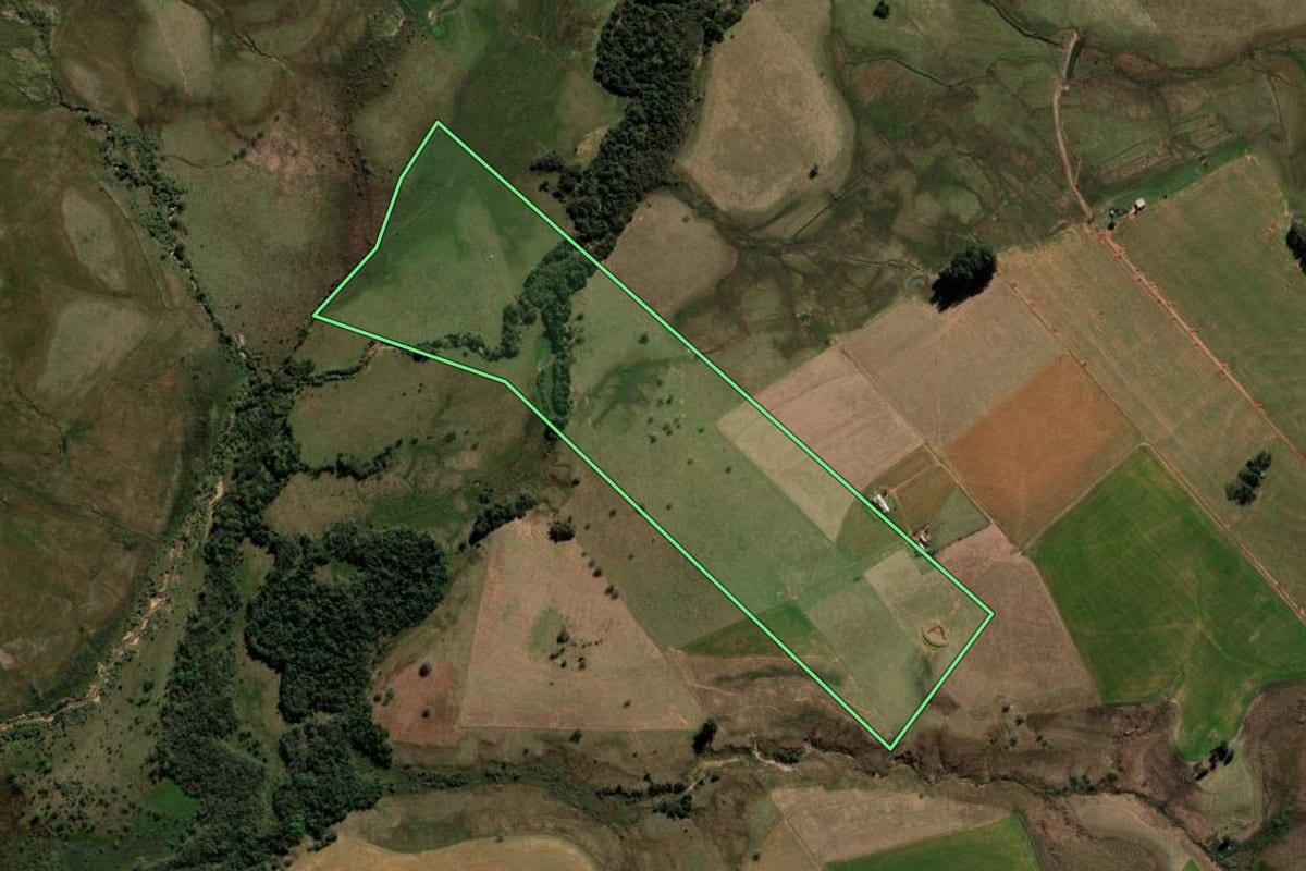 Imagem de satélite do imóvel rural em São Francisco de Assis (RS), com o contorno declarado no CAR desenhado por cima.