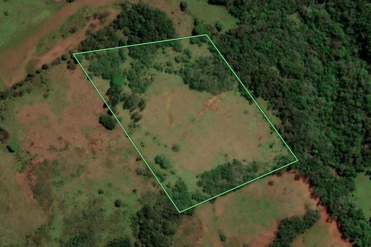Imagem de satélite do imóvel rural em São Francisco de Assis (RS), com o contorno declarado no CAR desenhado por cima.