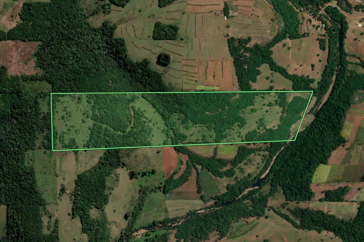 Imagem de satélite do imóvel rural em São Francisco de Assis (RS), com o contorno declarado no CAR desenhado por cima.